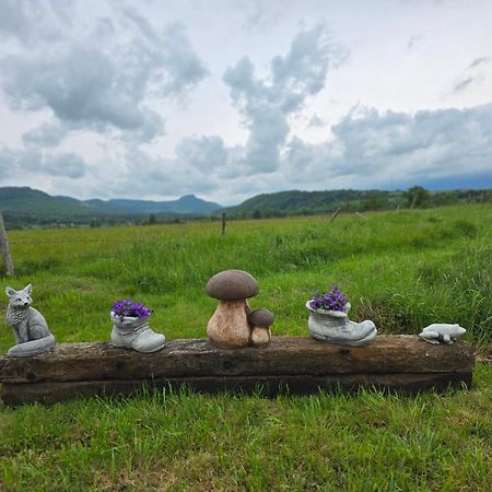 Wataha Pod Basztami - Wadera - Domki Caloroczne Radków Kültér fotó
