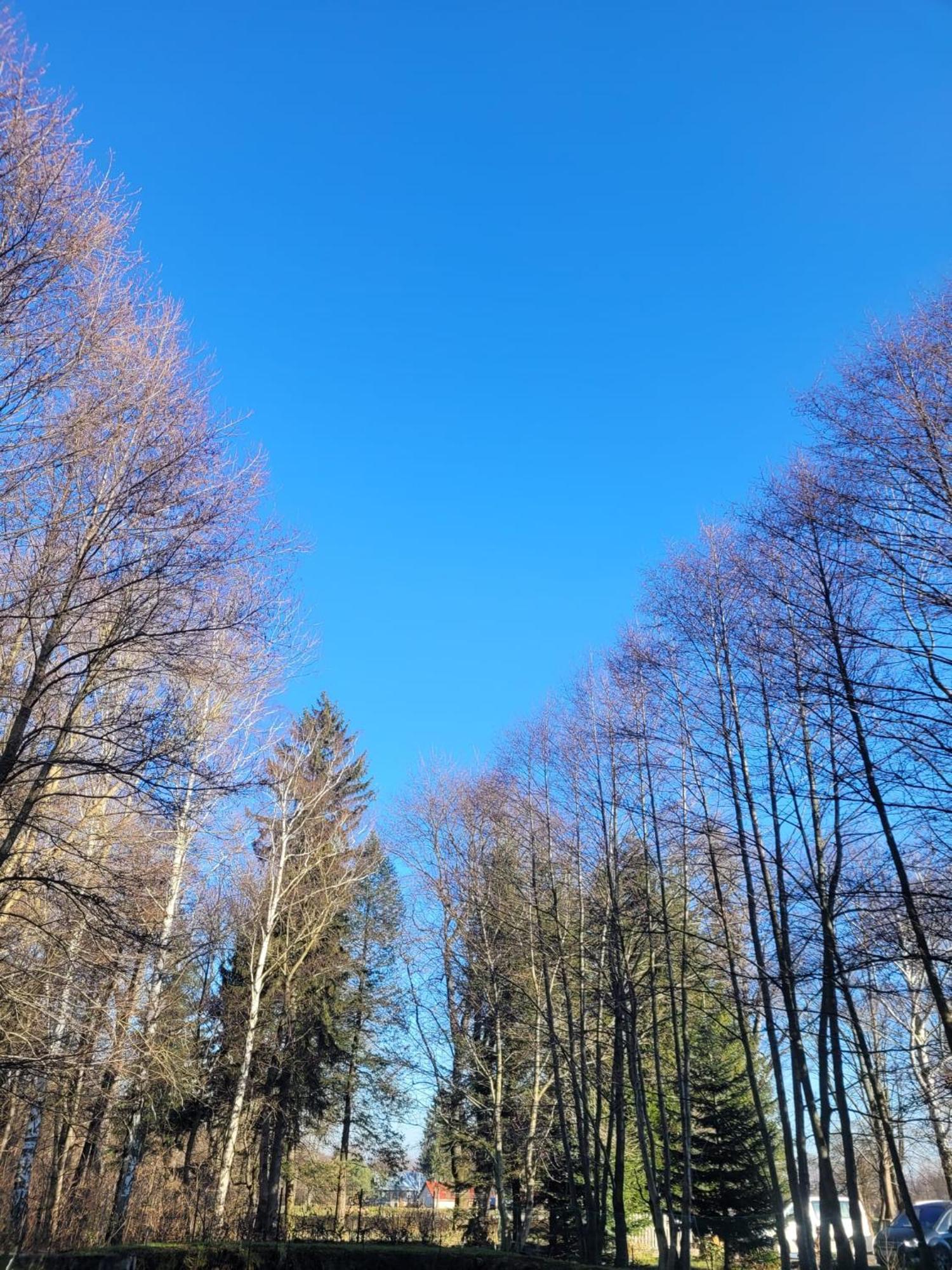 Wataha Pod Basztami - Wadera - Domki Caloroczne Radków Kültér fotó